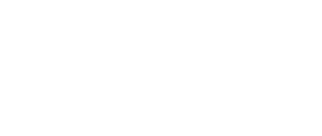Vibrant Technology